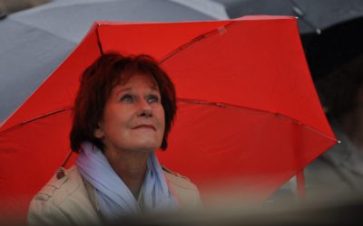 Zomerconcert bij Schijndel aan Zee was schot in de roos