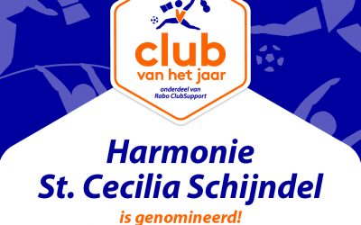 Yes, we zijn club van het jaar in Meierijstad!